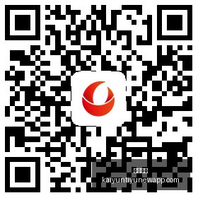 掌机,元发售,芯片,开云体育,开云体育官网,开云体育app下载